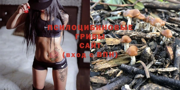 не бодяженный Горнозаводск