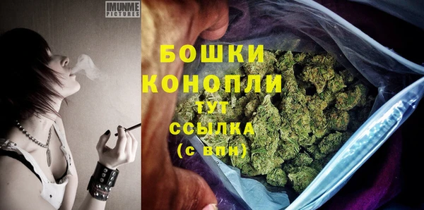 гидропоника Горно-Алтайск