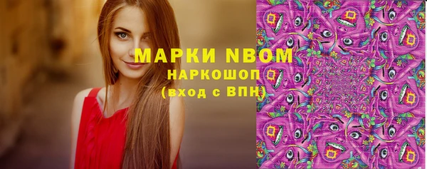 МДПВ Горняк